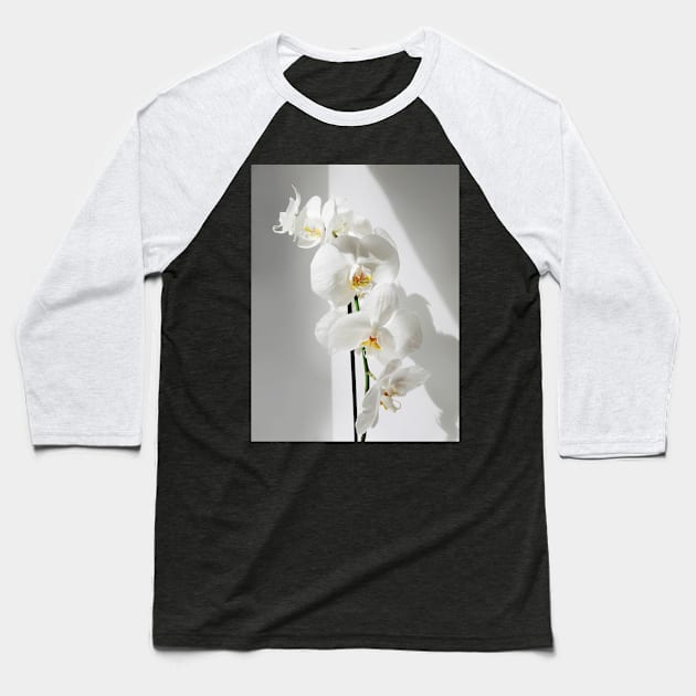 Elegant White Orchid Baseball T-Shirt by NewburyBoutique